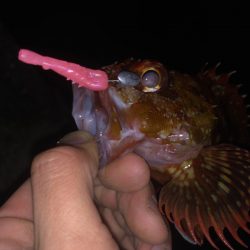 ボトムワイルドゲームpart2