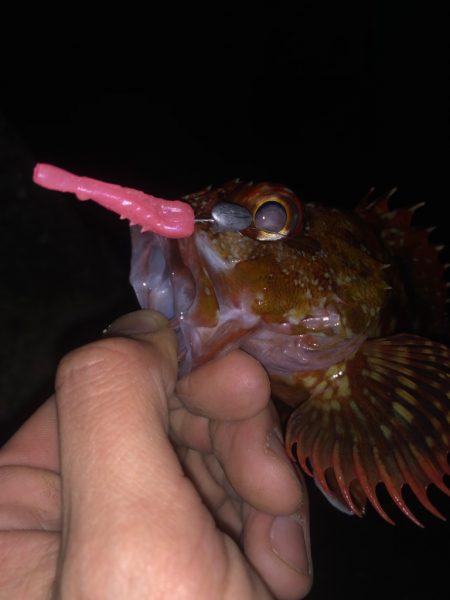 ボトムワイルドゲームpart2