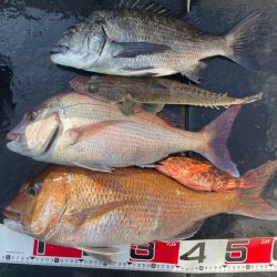 一つテンヤ3月10日