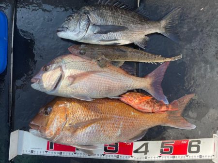 一つテンヤ3月10日