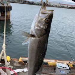 3度の場所変更を経て…