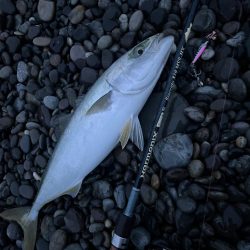 ジャックアイTGスイムのただ巻き強し！