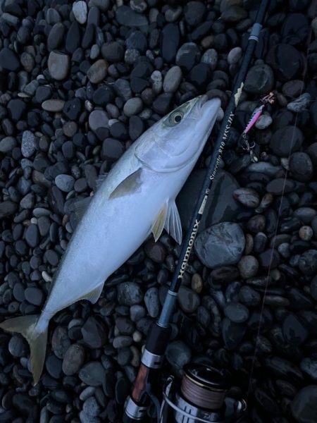 ジャックアイTGスイムのただ巻き強し！