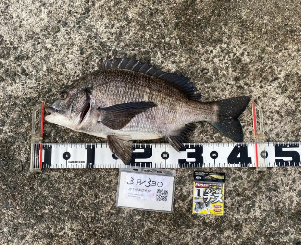 ★尼エサエビ撒き釣りグランプリ3月③