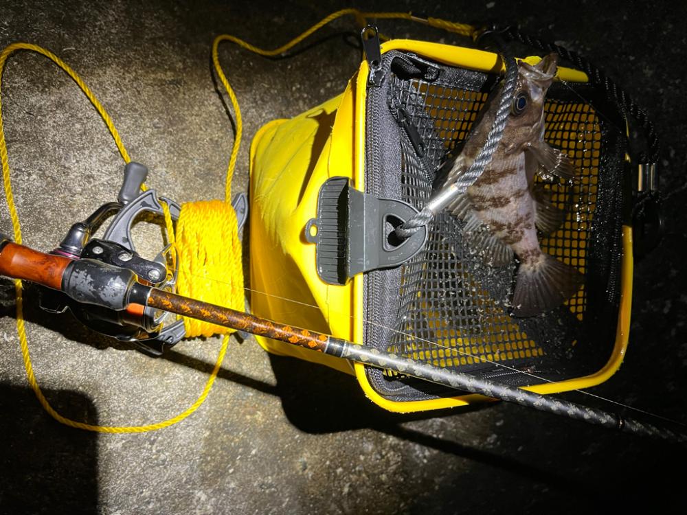 風が和らぐ短時間釣行