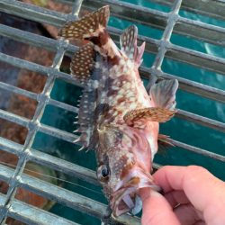 朝はまだまだ寒いです