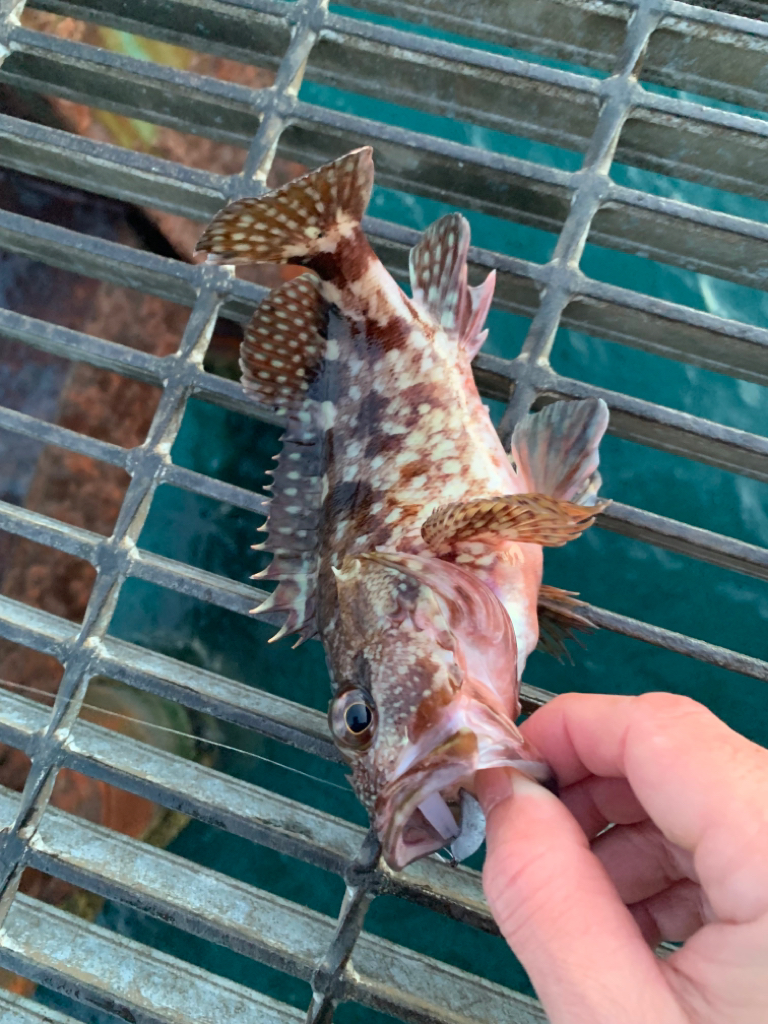 朝はまだまだ寒いです