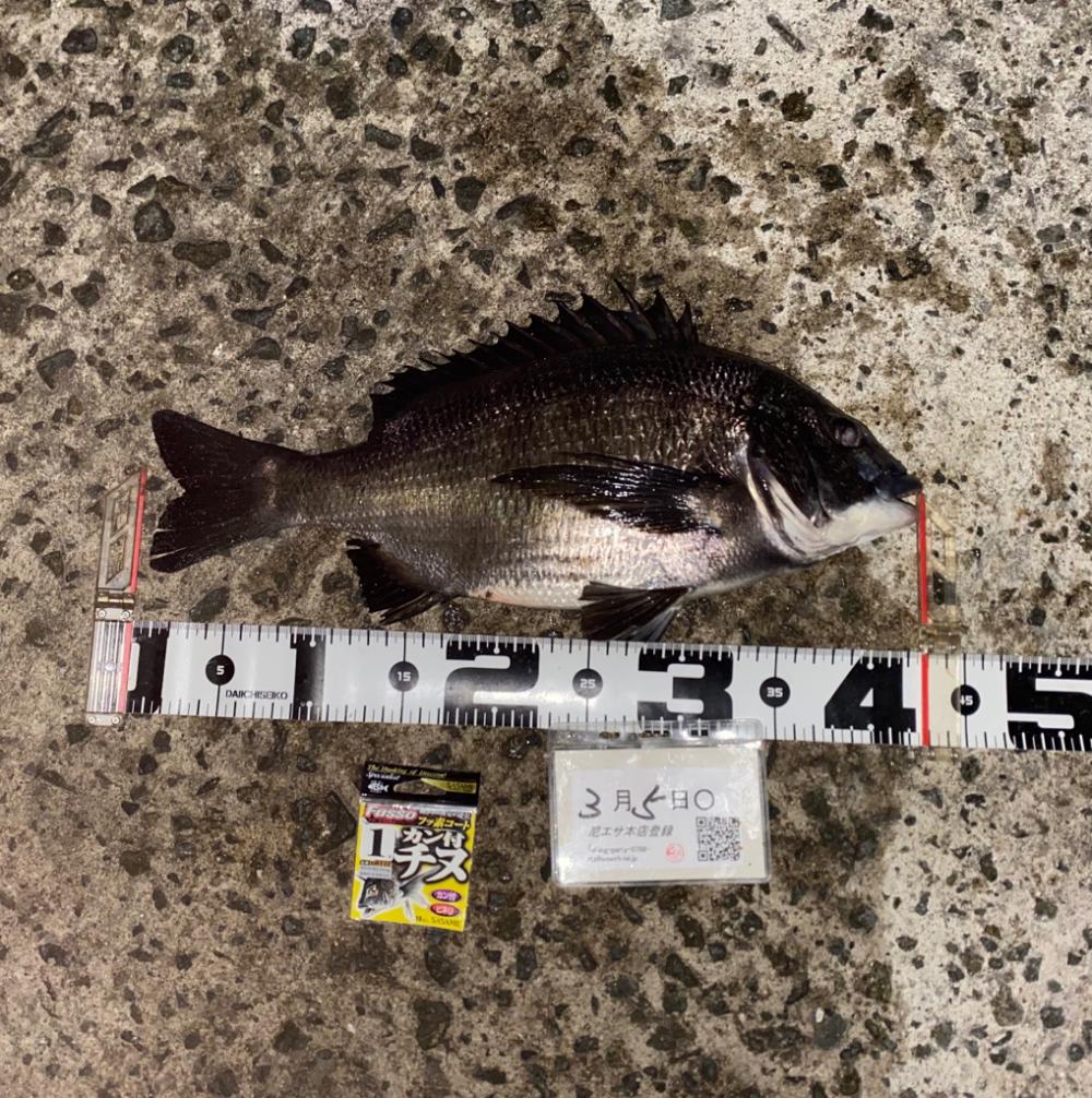 ★エビ撒きグランプリ　3月 ②