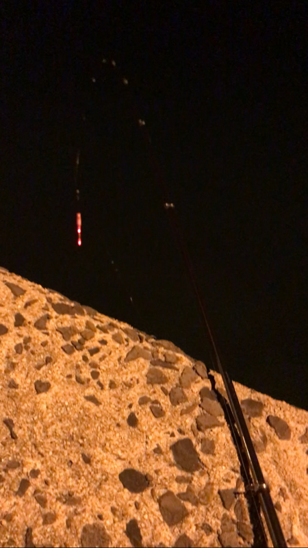 激渋ヤリイカ釣り