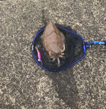 ムラムラさせて初のキロGET‼…