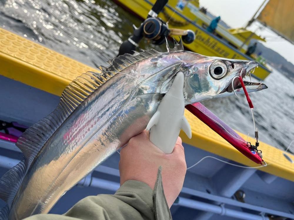 東京湾タチウオジギング