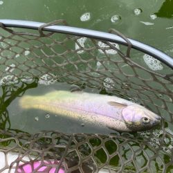 服部フィッシングパーク