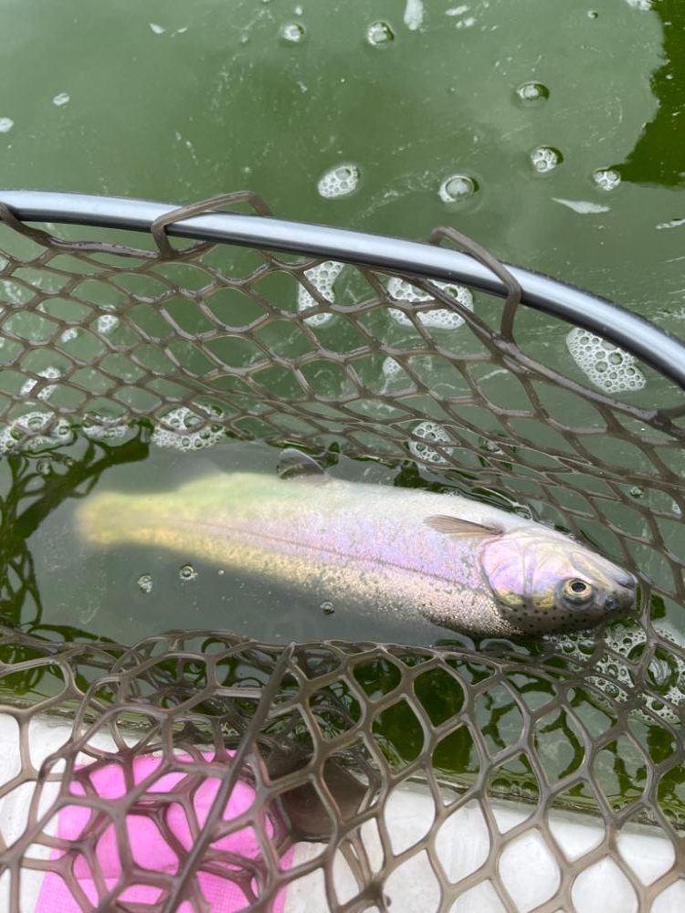 服部フィッシングパーク