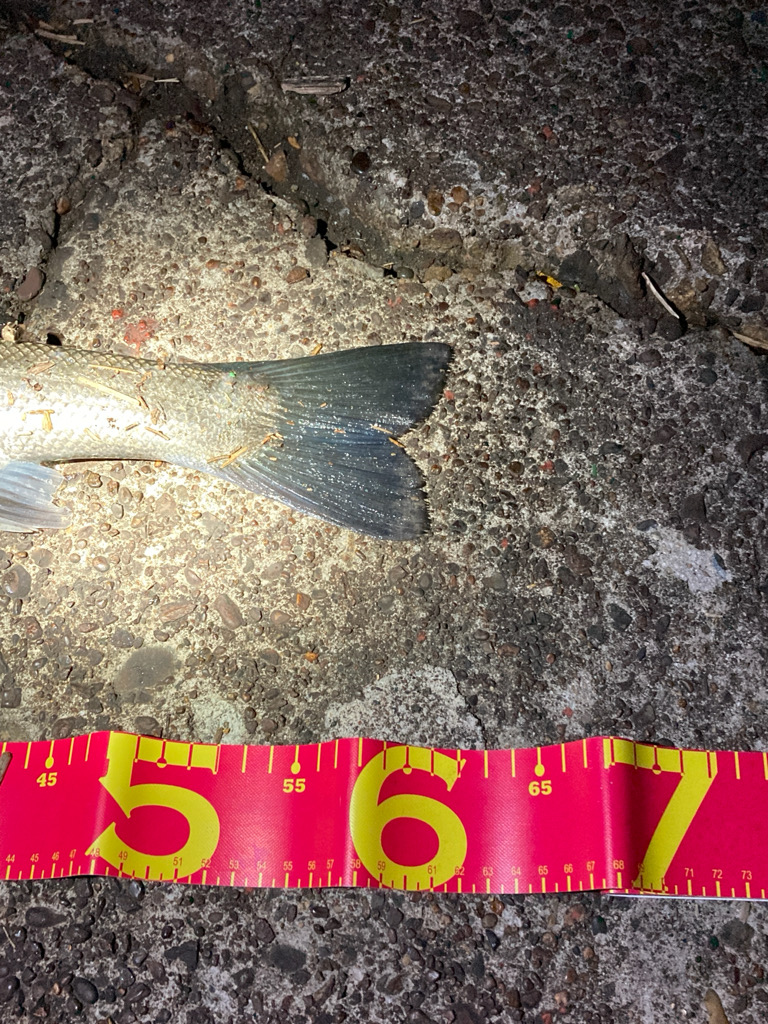 千葉港絶好調！