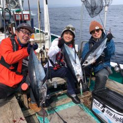 大人気のトンジギ！美味しいビンチョウマグロ