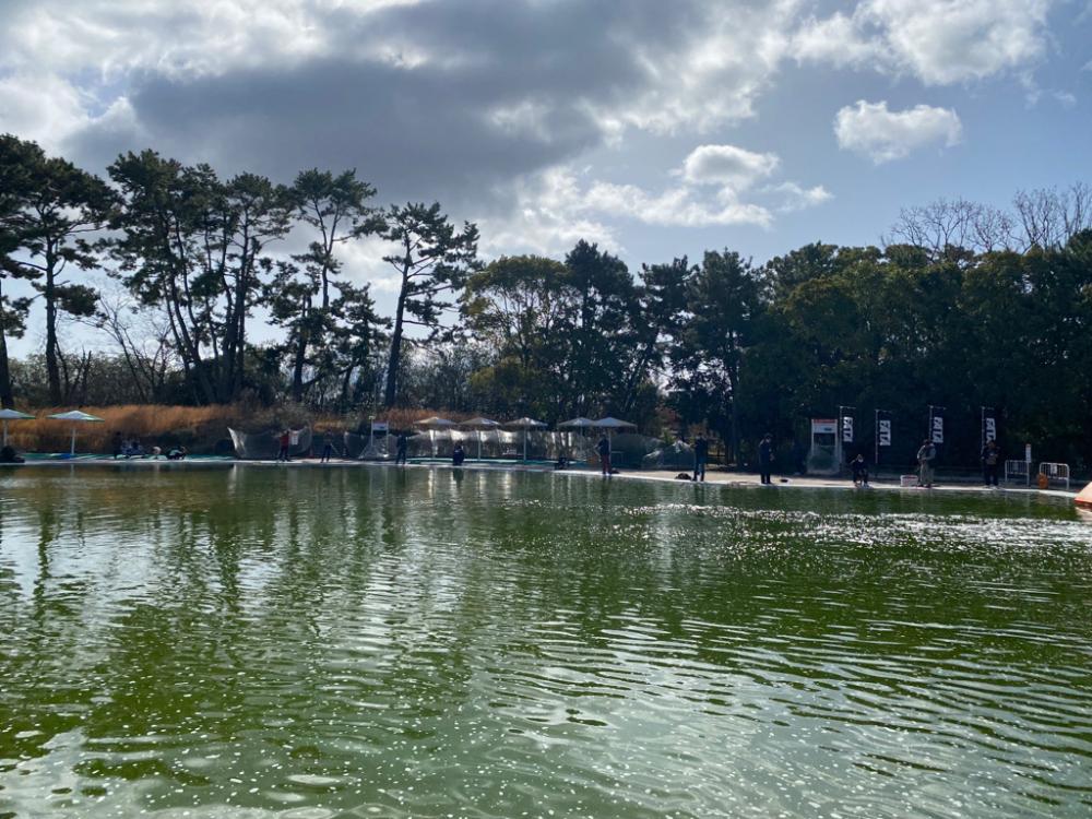 服部緑地　エリアトラウト