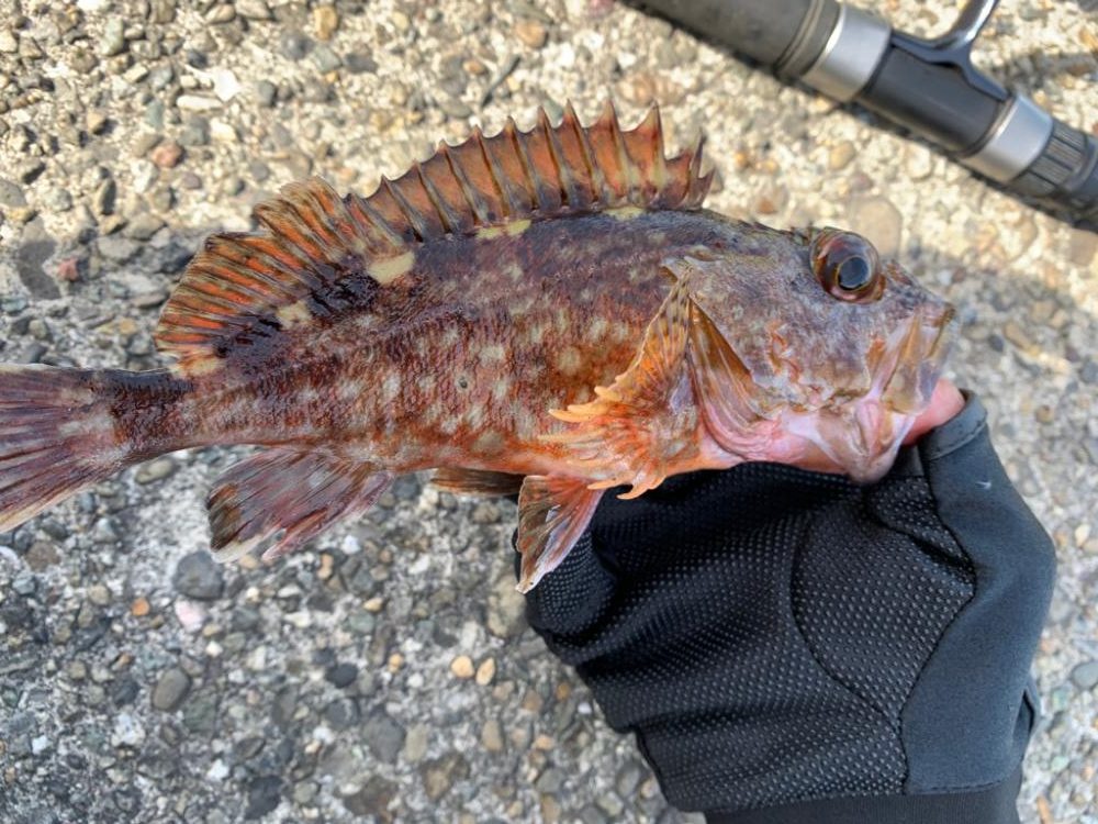 ライトロックゲーム