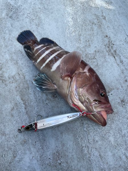 五目スロージギング