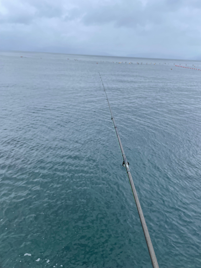 まだヤリ〜いました❗️