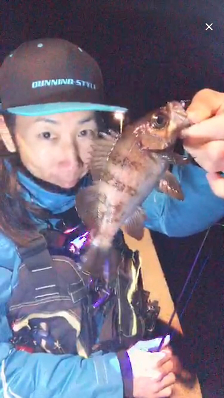 坊勢島の調査(  ‘-‘ )