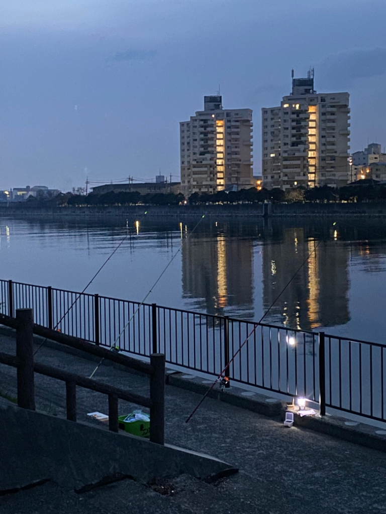 花見カレイ釣り