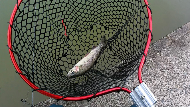 なんだかんだフィッシャーリゾート庄原