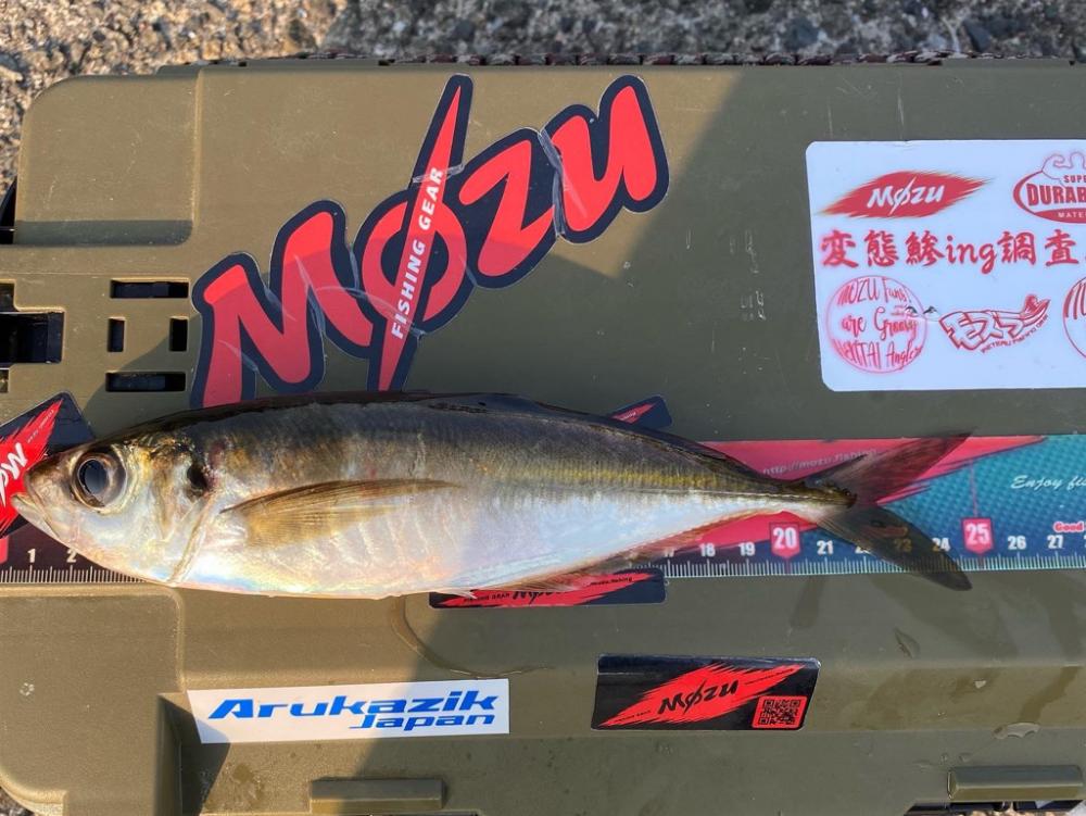 久しぶりの朝活