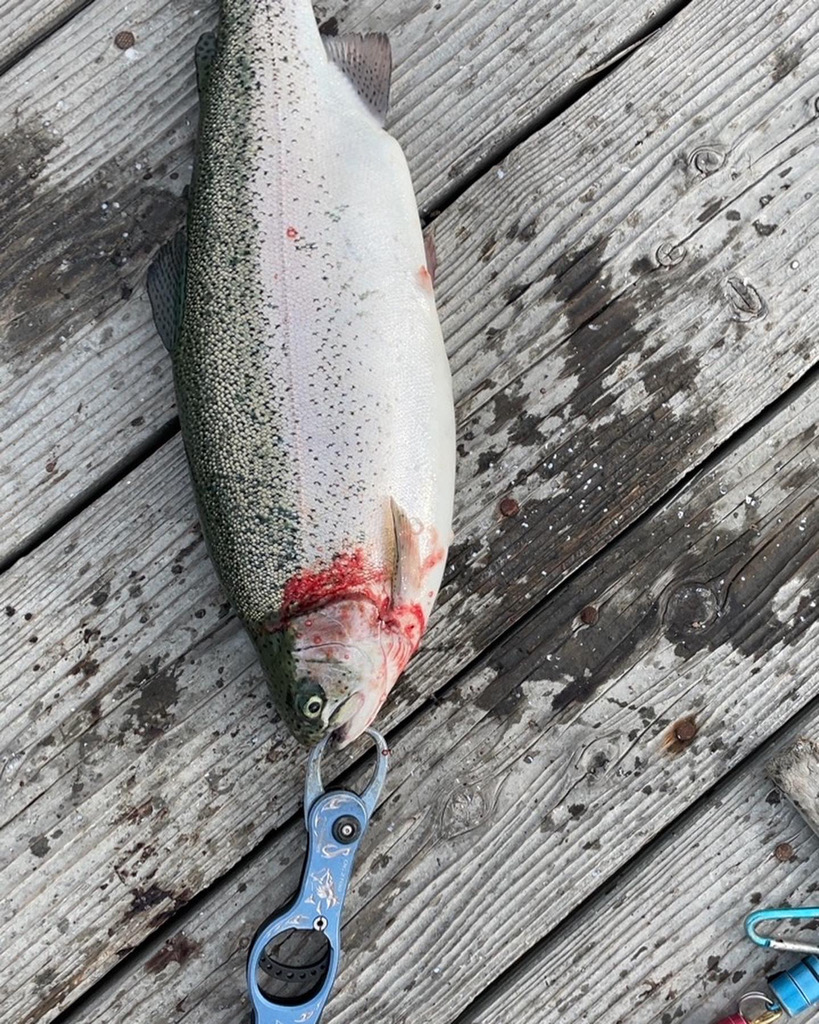 サーモンコーナー