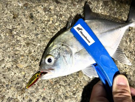 ちびジャックアイたちでライトゲーム