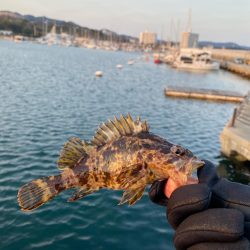 メバルも春の陽気に誘われて