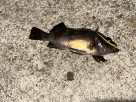 フロートメバリング