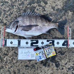 エビ撒きグランプリ3月-4