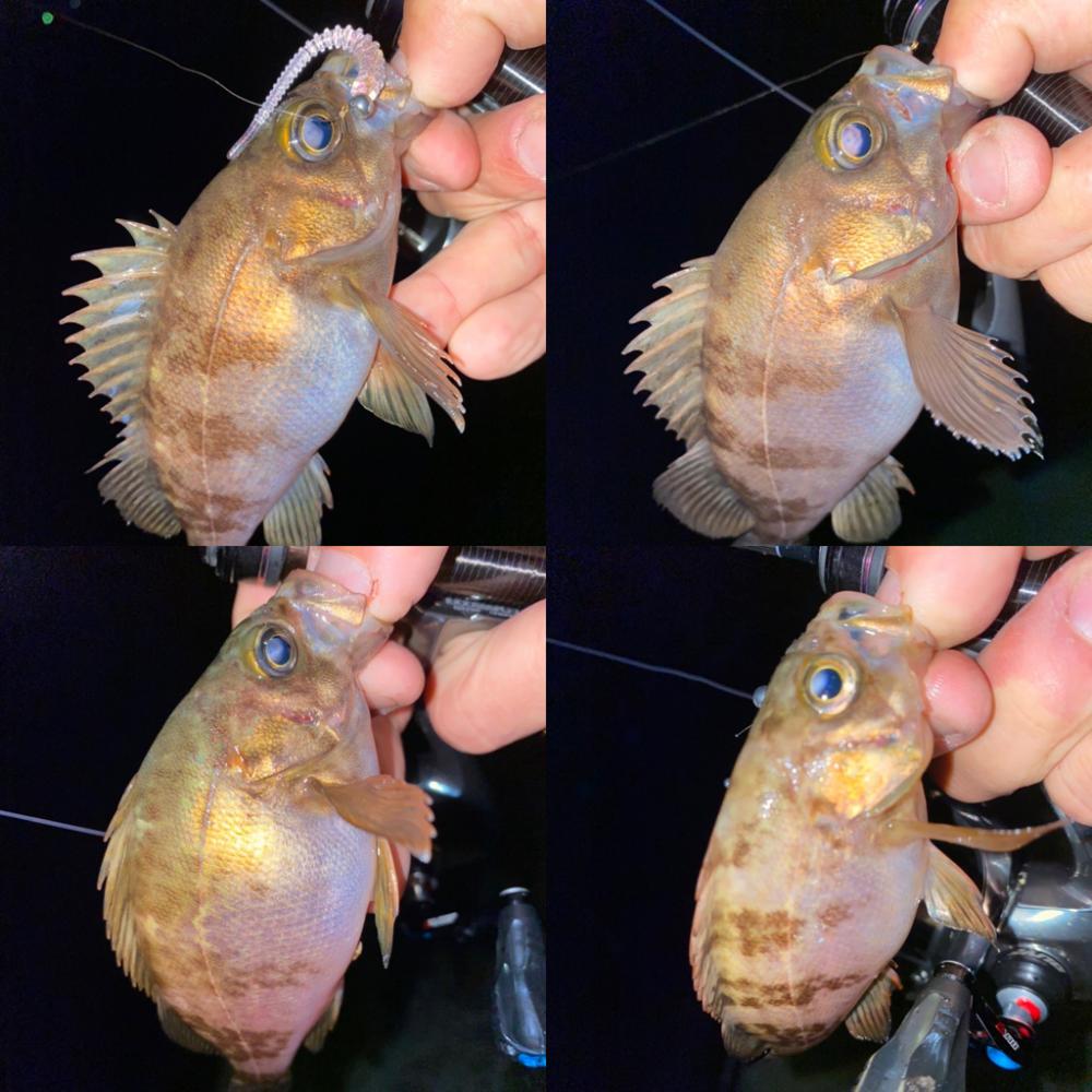 激浅の場所でメバリング