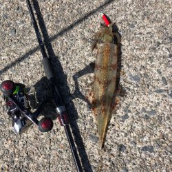 ぽかぽか天気にヤリました