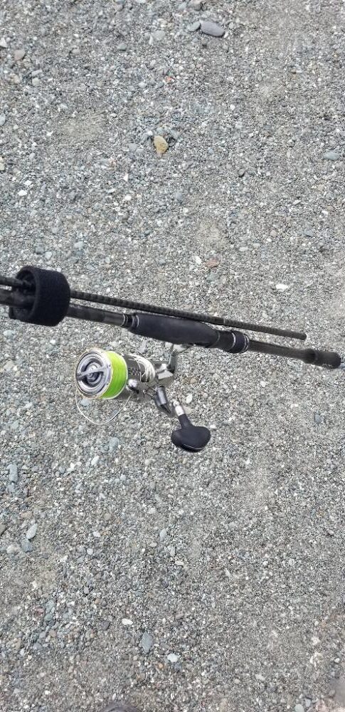 初場所で釣れた