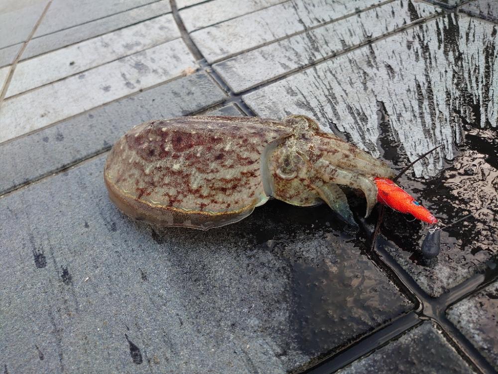 スランプからの脱出