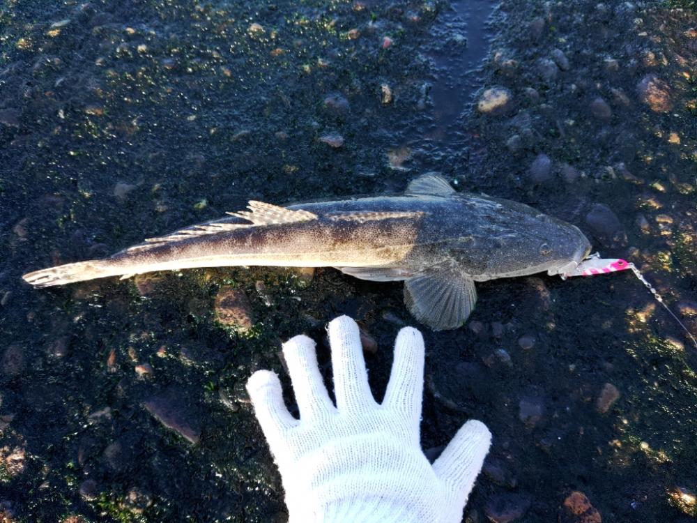 ２ヶ月ボウズでした(*_*)