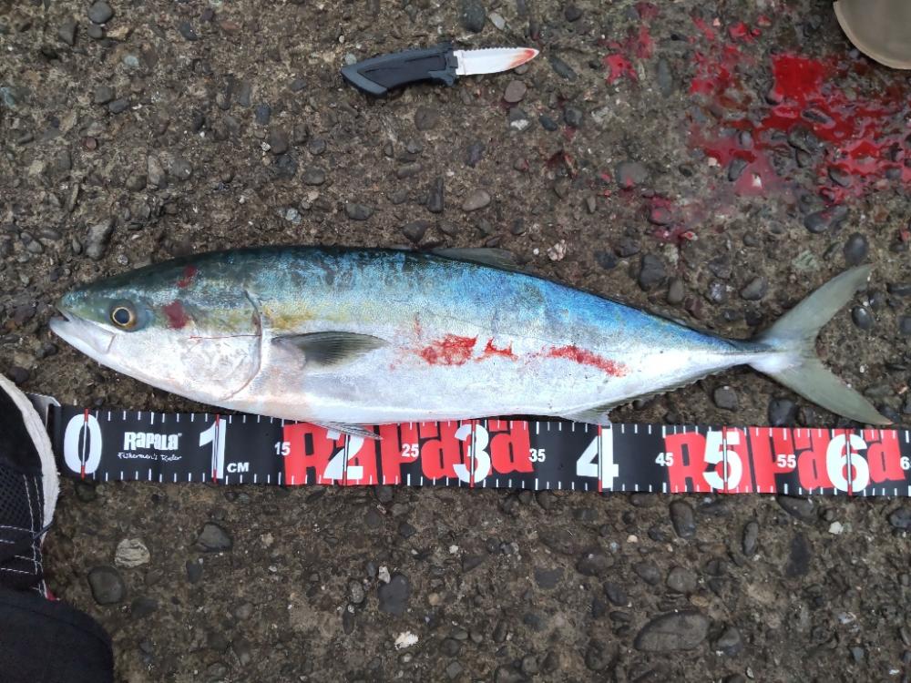 ショアプラッキング