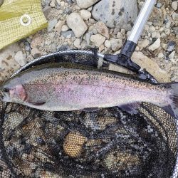 久しぶりの投稿