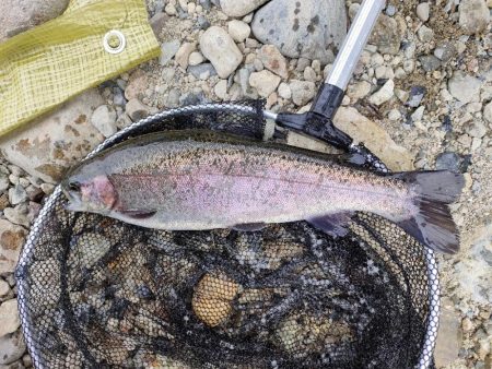 久しぶりの投稿