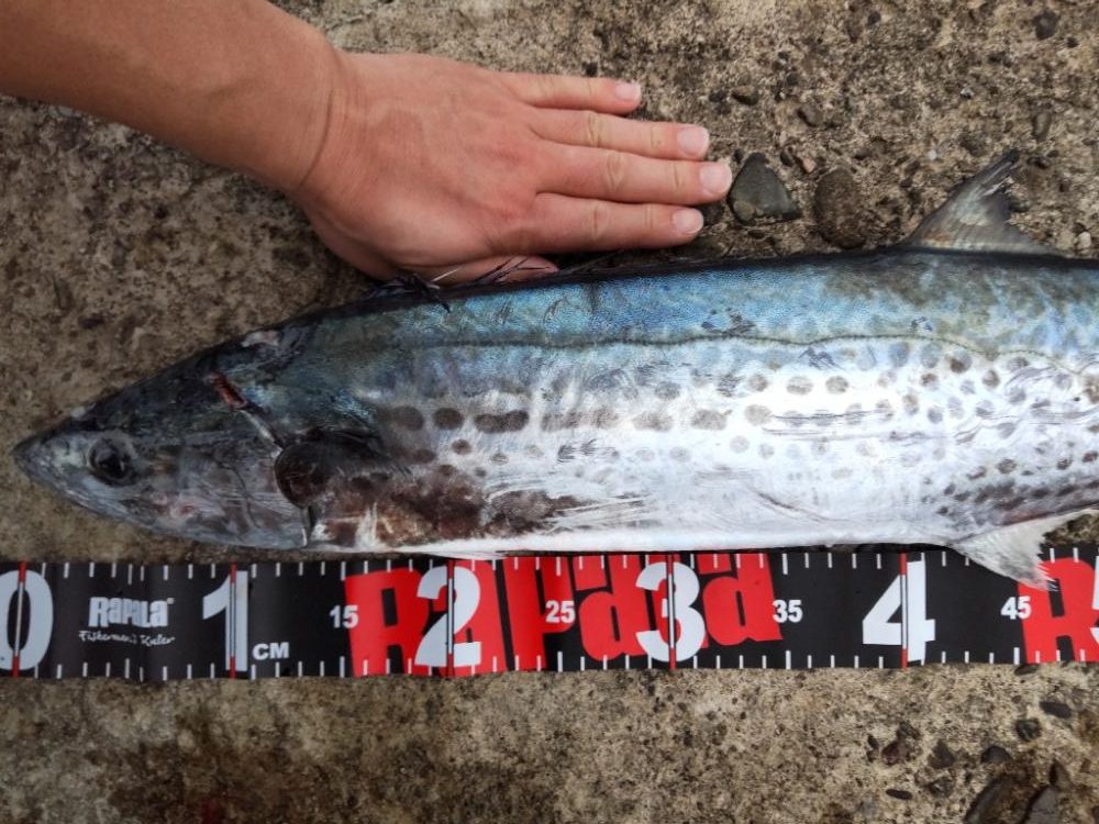 ショアプラッキング