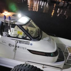 ボートメバリング