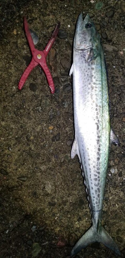 メーター届かず