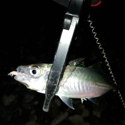 フロートゲーム~