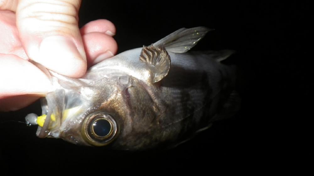 雨の止み間にアタック