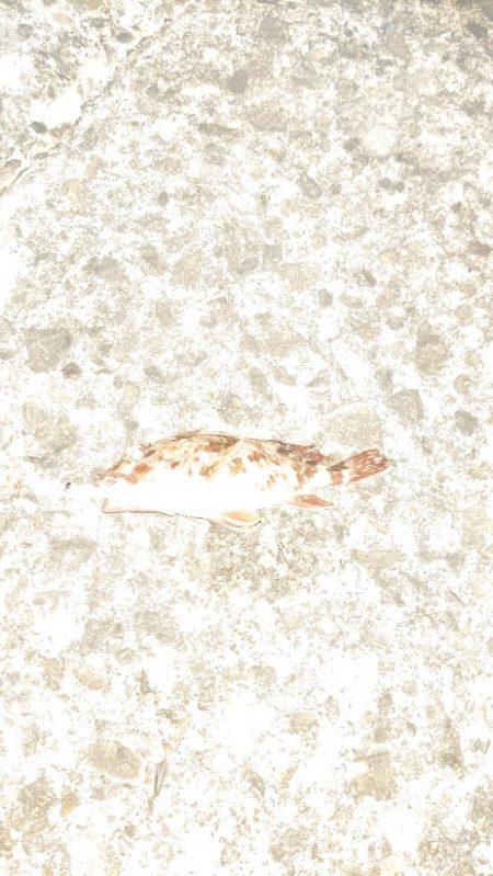 ランガンしても