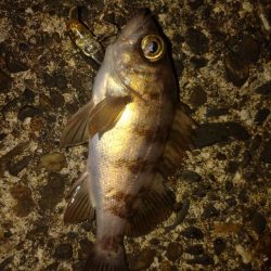 バイトが小さい