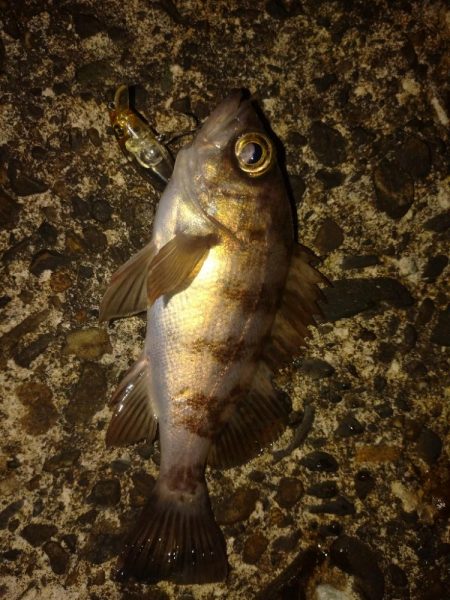 バイトが小さい