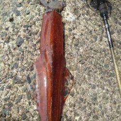 1ｹ月ぶりのヤり～⤴…