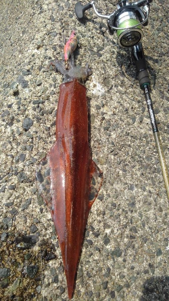 1ケ月ぶりのヤり~⤴️